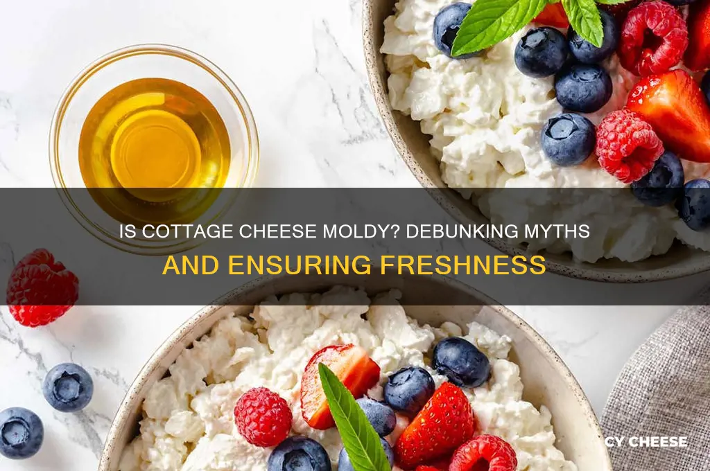 is cottage cheese moldy