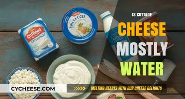 Is Cottage Cheese Mostly Water? Uncovering the Truth About Its Composition
