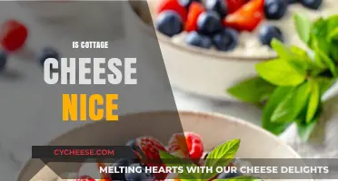 Is Cottage Cheese Nice? A Tasty Debate on Its Unique Appeal