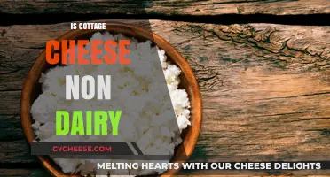 Is Cottage Cheese Non-Dairy? Unraveling the Dairy-Free Myth