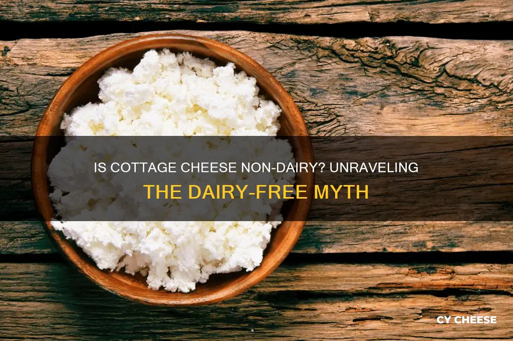 is cottage cheese non dairy