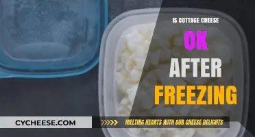 Can You Freeze Cottage Cheese? Texture, Taste, and Safety Explained