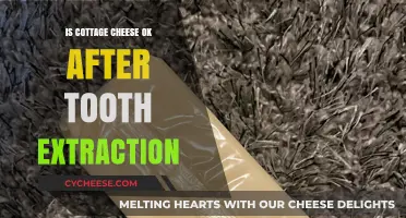 Cottage Cheese Post-Tooth Extraction: Safe or Risky Choice?