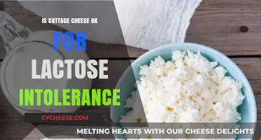Can Lactose-Intolerant Individuals Safely Enjoy Cottage Cheese?