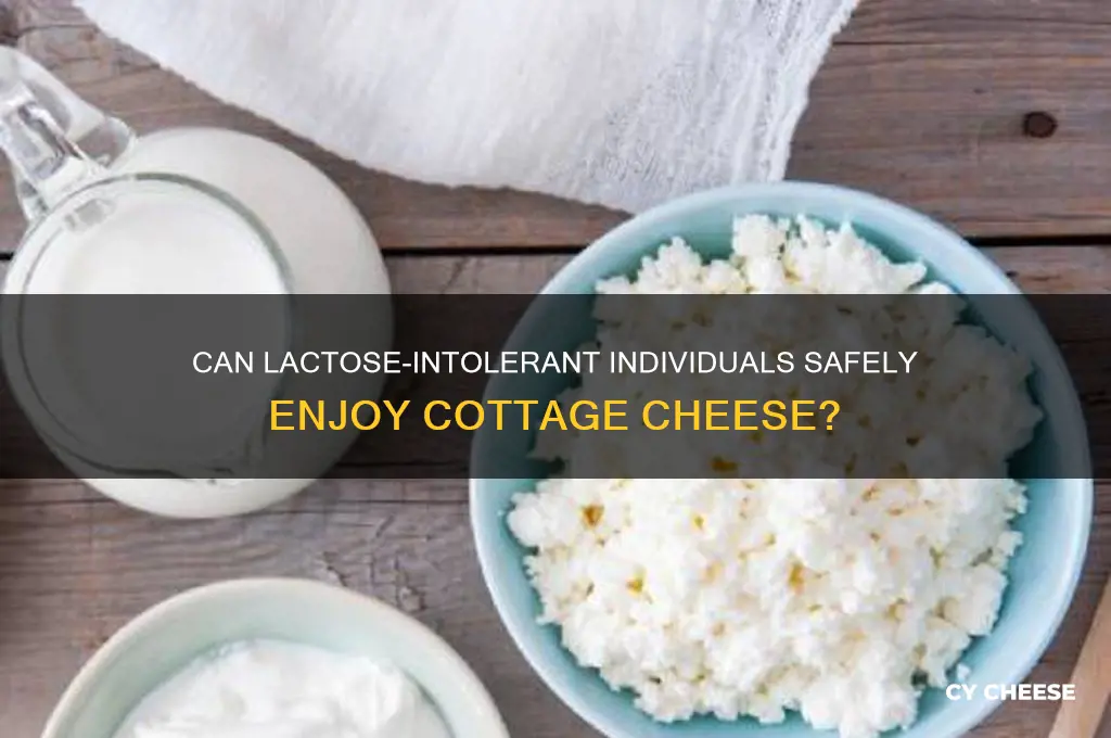 is cottage cheese ok for lactose intolerance