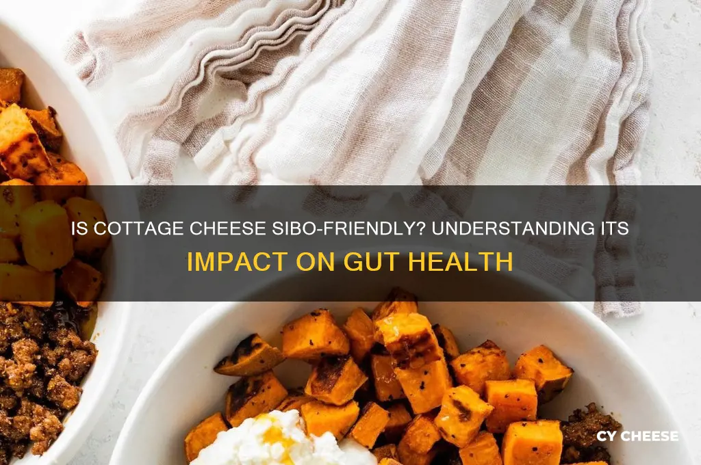 is cottage cheese ok for sibo