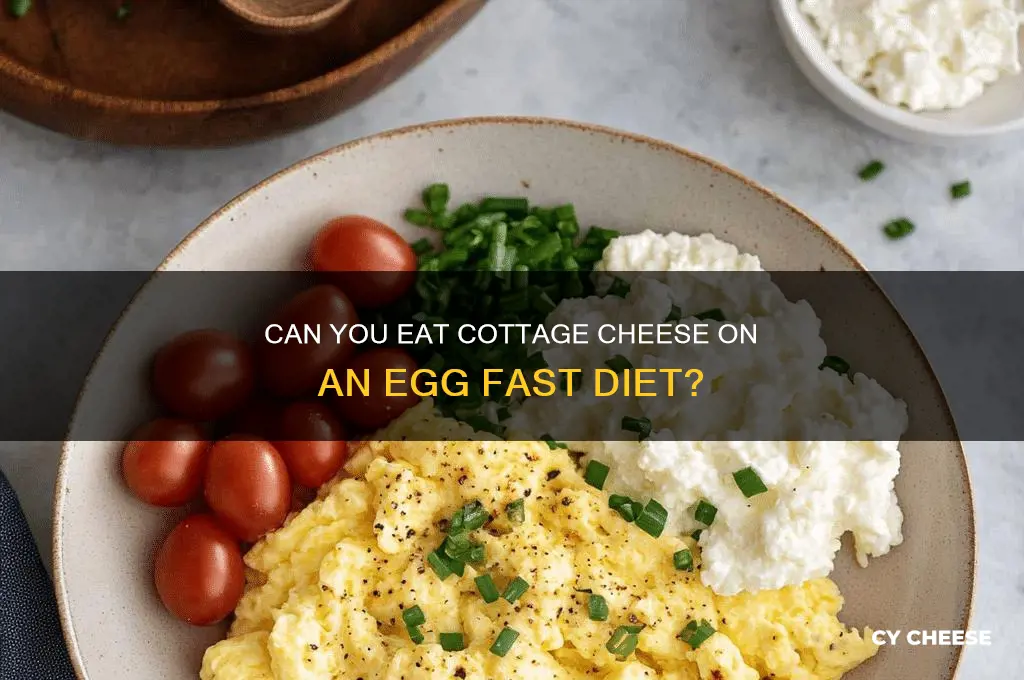is cottage cheese okay on egg fast