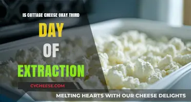 Is Cottage Cheese Safe to Eat on Day Three After Opening?