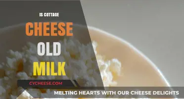 Is Cottage Cheese Just Old Milk? Unraveling the Dairy Mystery