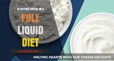 Can You Eat Cottage Cheese on a Full Liquid Diet?