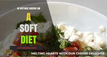 Cottage Cheese on a Soft Diet: Benefits, Tips, and Easy Recipes