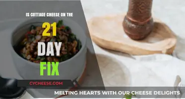Can You Eat Cottage Cheese on the 21 Day Fix Plan?