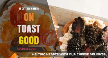 Cottage Cheese on Toast: A Tasty, Nutritious Breakfast Idea?