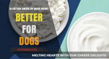 Cottage Cheese vs. Greek Yogurt: Which is Better for Dogs?