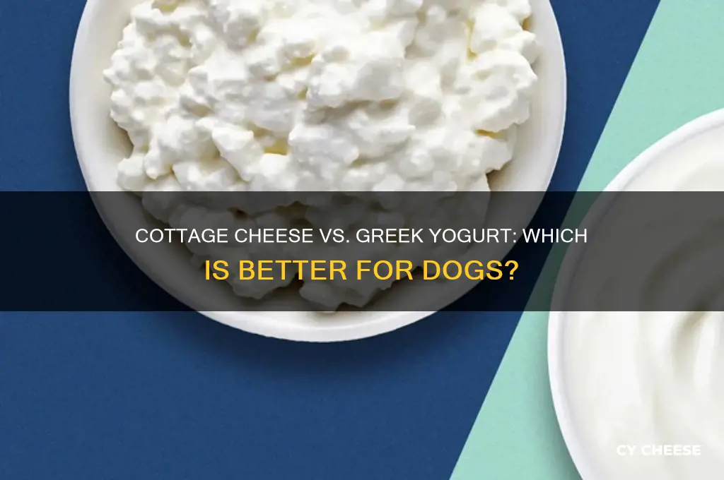 is cottage cheese or greek yogurt better for dogs