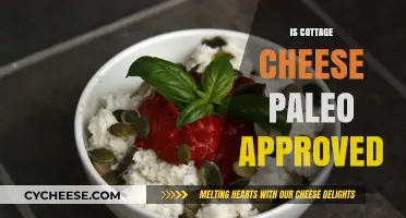 Is Cottage Cheese Paleo? Uncovering Its Place in the Diet