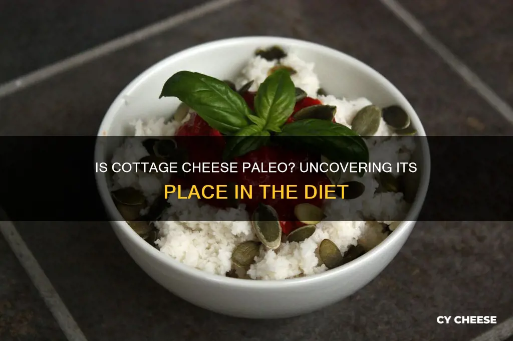 is cottage cheese paleo approved