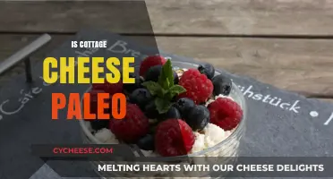 Is Cottage Cheese Paleo? Uncovering Dairy's Place in the Paleo Diet