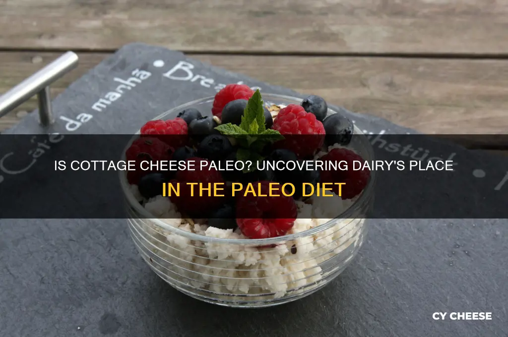 is cottage cheese paleo