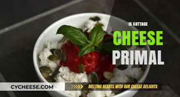 Is Cottage Cheese Primal? Uncovering Its Place in Ancestral Diets