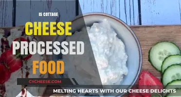 Is Cottage Cheese Processed? Uncovering the Truth Behind This Dairy Staple