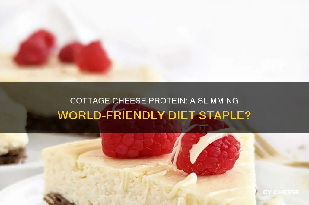 is cottage cheese protein on slimming world