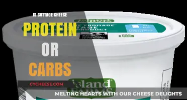 Cottage Cheese: Protein Powerhouse or Carb Contributor? Unraveling the Truth