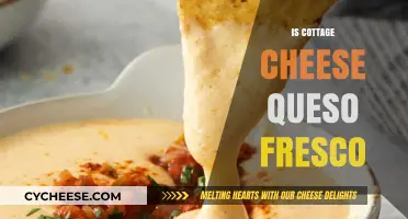 Is Cottage Cheese a Substitute for Queso Fresco? Exploring the Differences