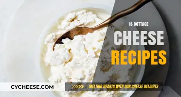 Delicious Cottage Cheese Recipes: Creative Ways to Enjoy This Versatile Ingredient