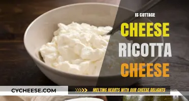 Cottage Cheese vs. Ricotta: Understanding the Key Differences and Similarities