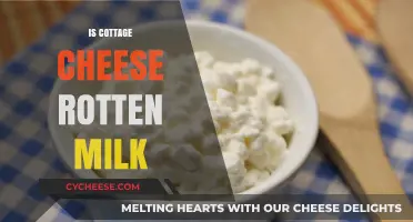 Is Cottage Cheese Rotten Milk? Unraveling the Dairy Mystery