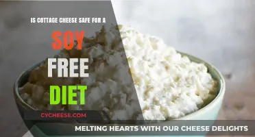 Cottage Cheese and Soy-Free Diets: What You Need to Know