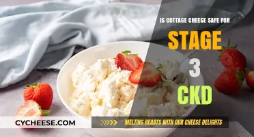 Cottage Cheese and Stage 3 CKD: Safe or Risky Choice?