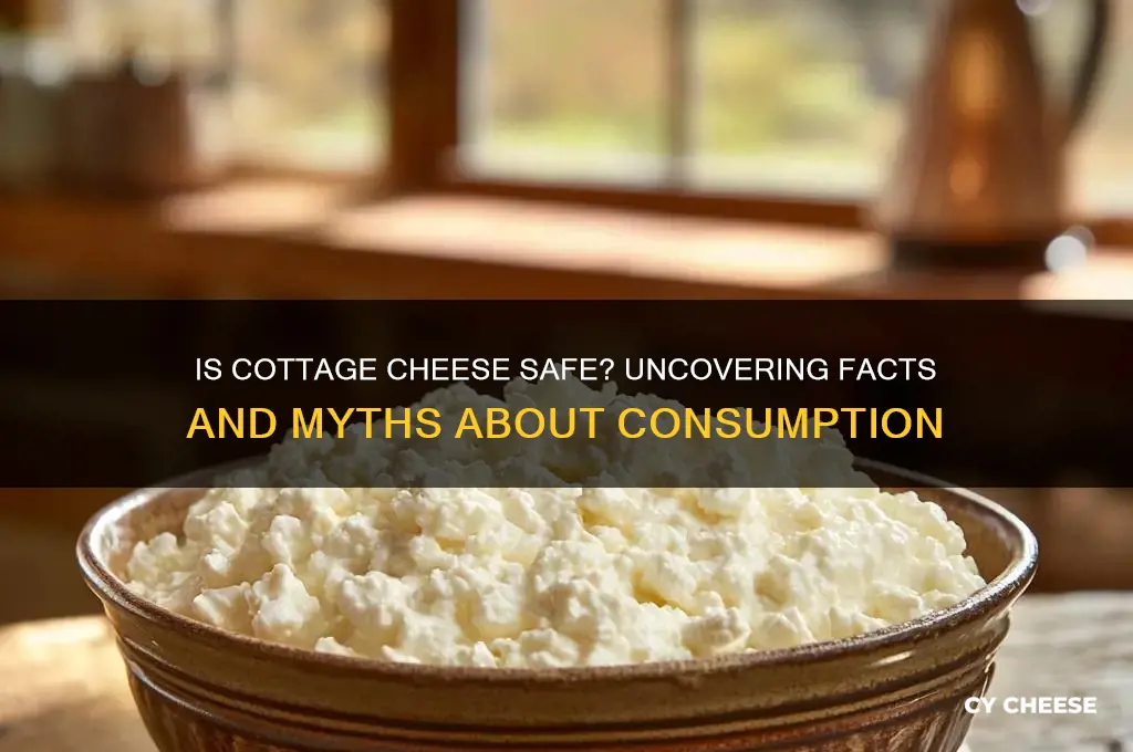 is cottage cheese safe
