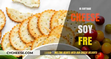 Is Cottage Cheese Soy-Free? A Complete Guide to Ingredients and Allergens