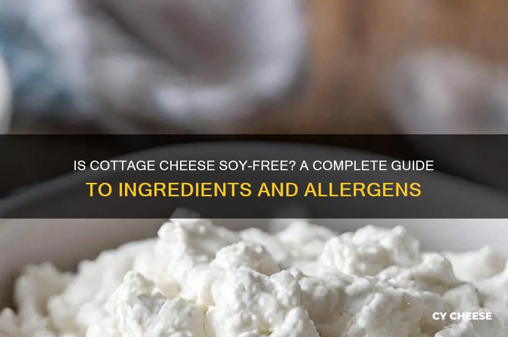 is cottage cheese soy fre