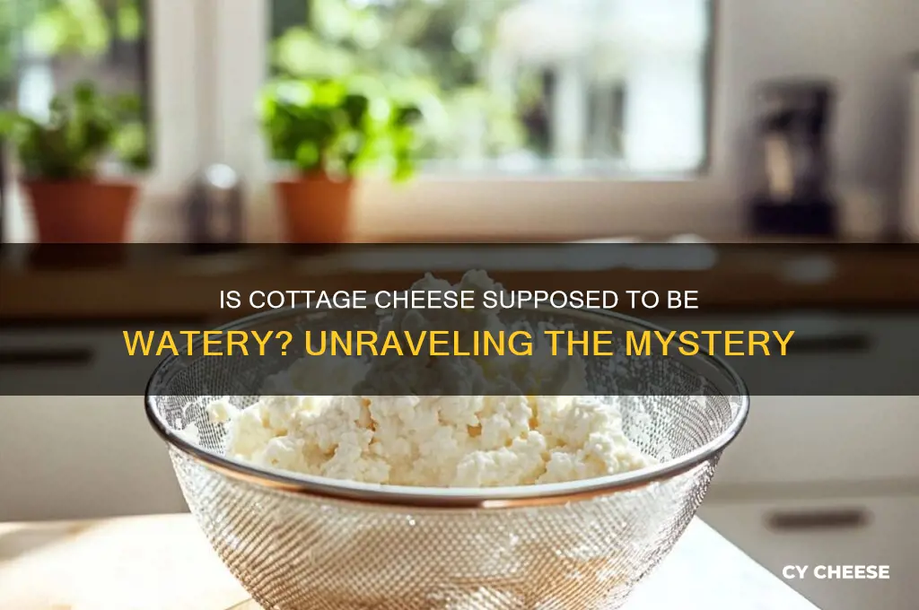 is cottage cheese supposed to be watery