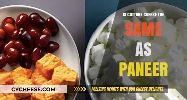 Cottage Cheese vs. Paneer: Unraveling the Differences and Similarities