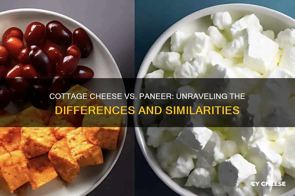 is cottage cheese the same as paneer