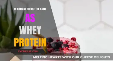 Cottage Cheese vs. Whey Protein: Nutritional Differences and Benefits Compared