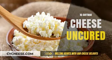 Is Cottage Cheese Uncured? Understanding Its Production and Ingredients