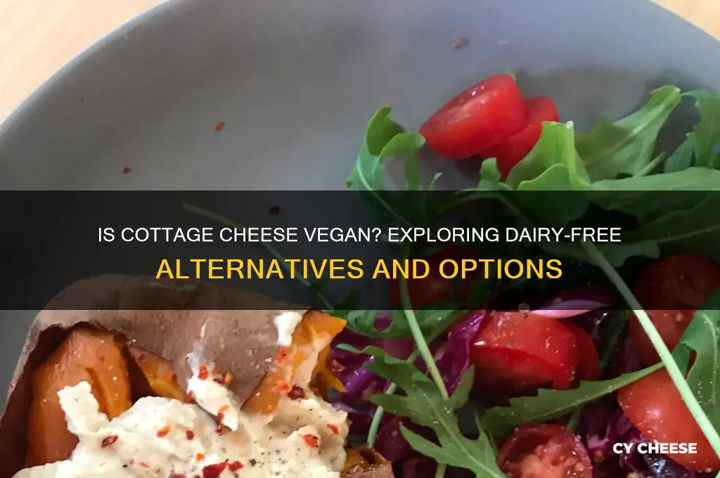 is cottage cheese vegan friendly
