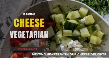 Is Cottage Cheese Vegetarian? Unraveling the Dairy Dilemma for Vegans