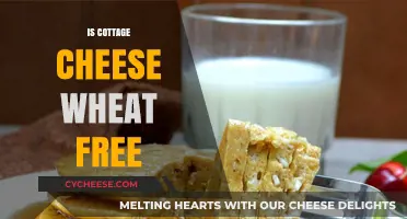 Is Cottage Cheese Wheat-Free? A Clear Answer for Dietary Needs