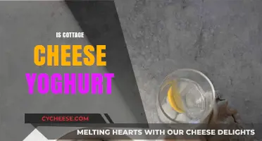 Cottage Cheese vs. Yogurt: Unraveling the Dairy Aisle Confusion