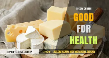 Cheese Benefits: Is Cow Cheese Healthy?