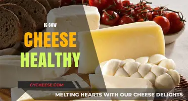 Cheese Conundrum: Is Cow Cheese Healthy?