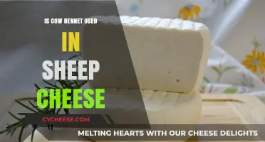 Sheep Cheese and Cow Rennet: What's the Link?