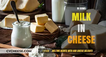 Is Cow's Milk in Cheese? Unraveling Dairy's Role in Cheesemaking