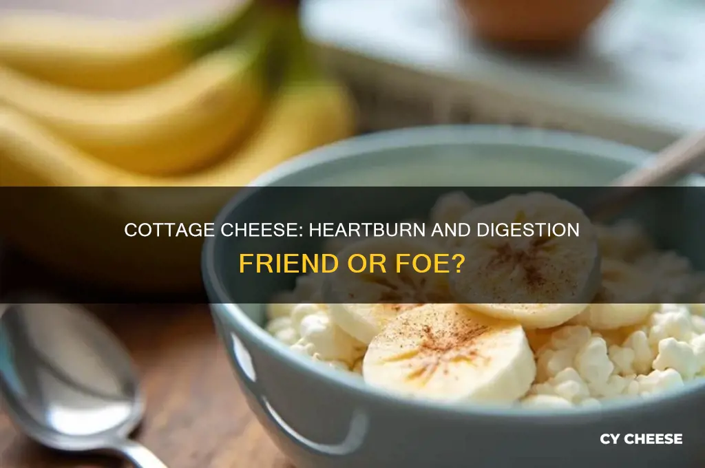 is coytage cheese good for heartburn i digestion